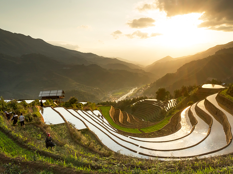 TOP 10 REASON AND BESTTIME TO VISIT SAPA